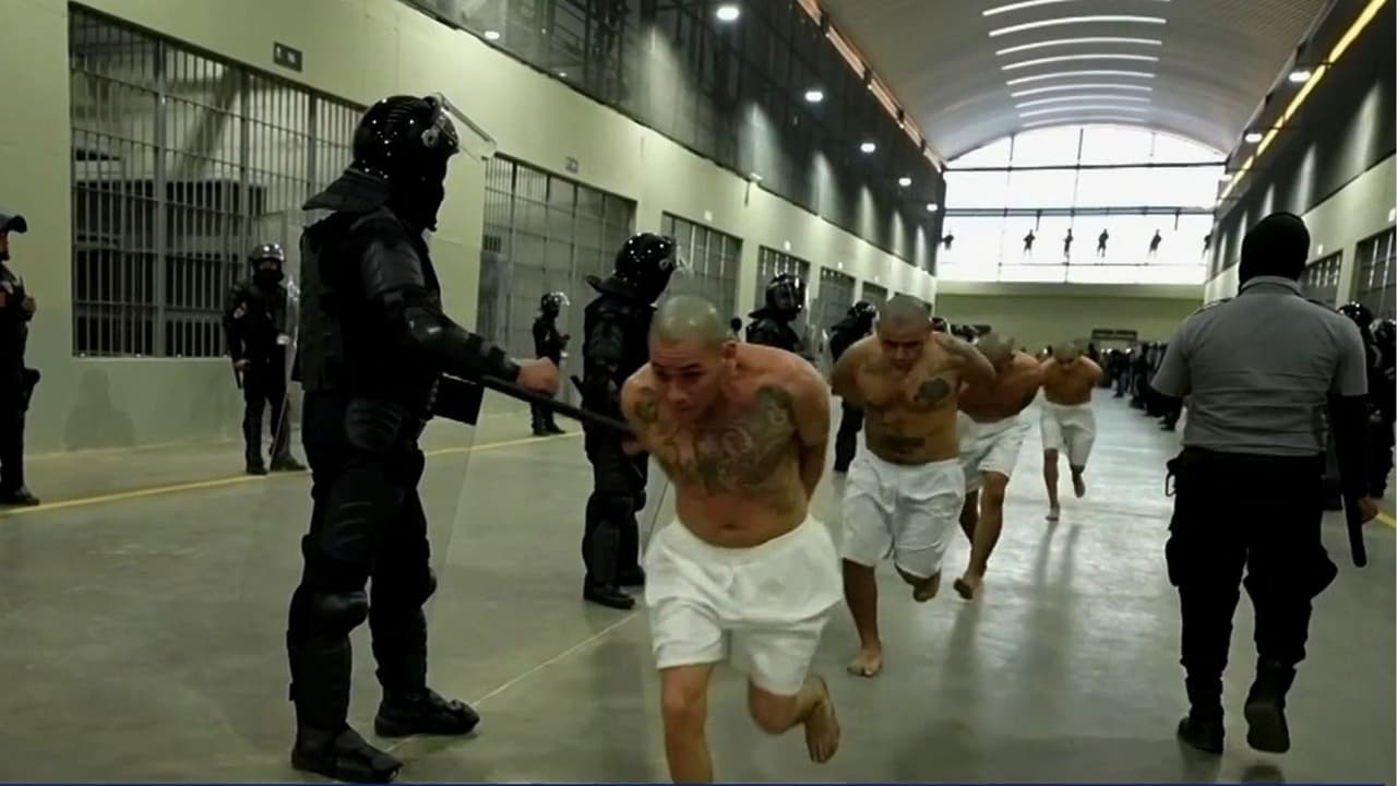 Bukele evalúa conceder libertad condicional a miles de detenidos bajo el régimen de excepción en El Salvador
