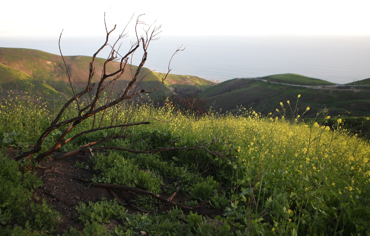 <b>Santa Monica Mountains, </b>Thousand Oaks, CA
<br>La Sierra de Santa Mónica se esconde a la vista de Los Ángeles pero estas montañas ofrecen fácil acceso a sorprendentes lugares que cumplen los gustos de todos, ya que podrás visitar las famosas playas de Malibú o explorar más de 500 millas de senderos. Aquí podrás encontrar varios sitios históricos, culturales y mucho más.