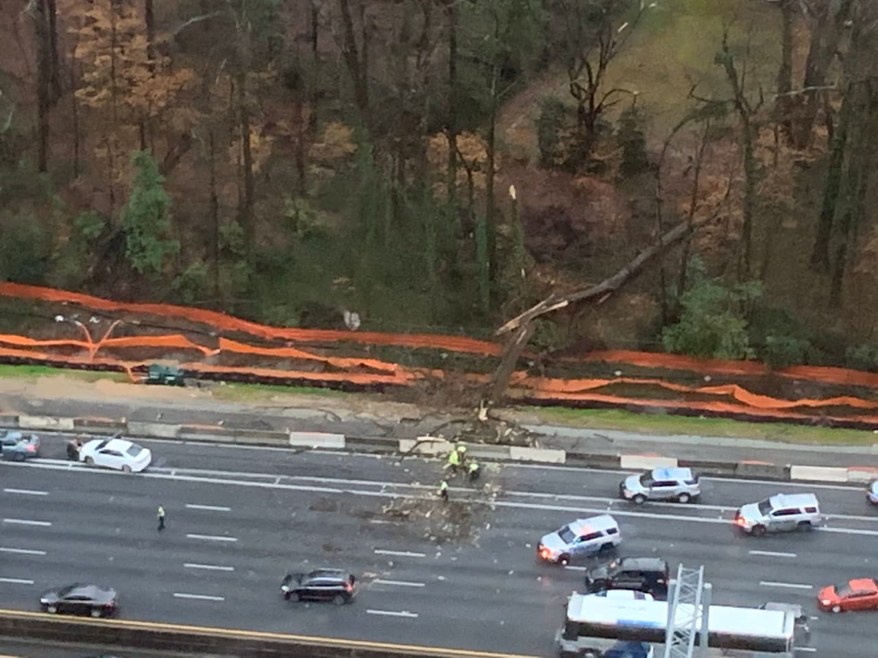 El Ayuntamiento de Dunwoody publicó también una fotografía aérea de la escena en donde cayó el árbol.