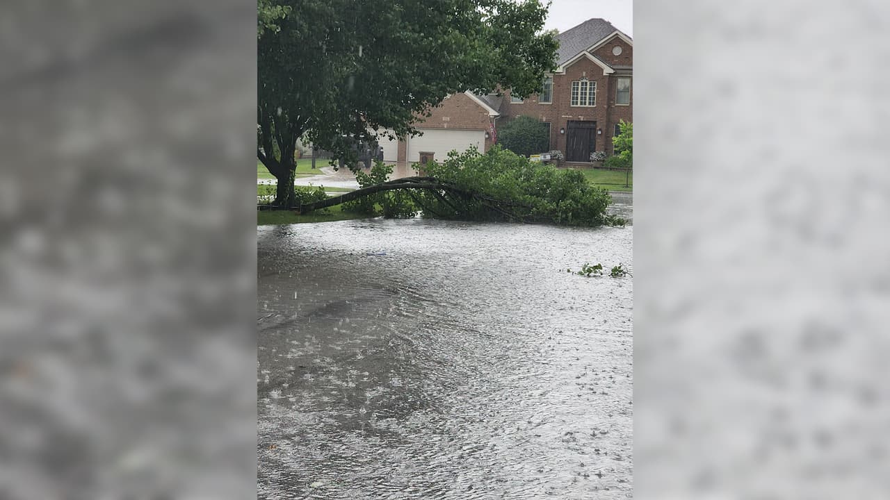Hacia las 10 a.m. la Ciudad de Naperville todavía reportaba algunos caminos cerrados con árboles caídos e inundaciones. Sin embargo, no se tiene reporte de afectaciones mayores.