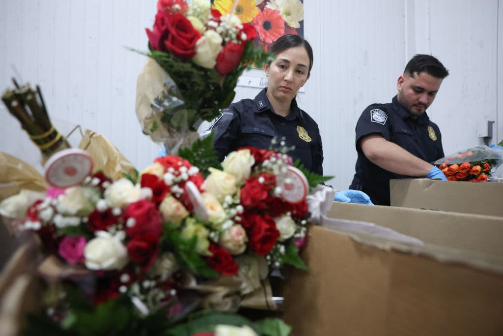 Los especialistas en agricultura de la CBP, que revisan los paquetes de flores en busca de plantas potencialmente dañinas, plagas y enfermedades de animales exóticos que puedan entrar en Estados Unidos.