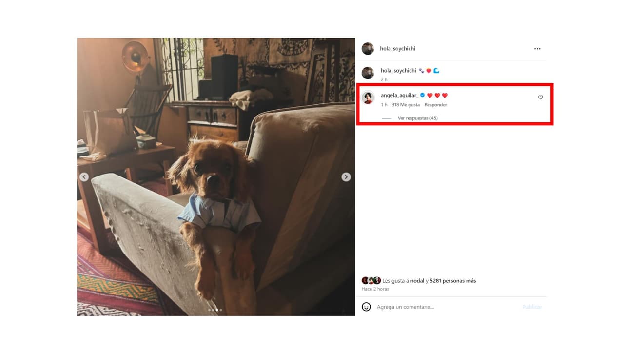 Chichí es el nombre de la mascota de Christian Nodal y Ángela Aguilar.