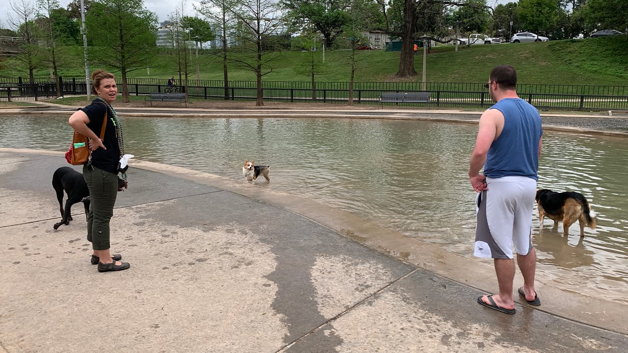 Los dueños de los perros también aprovechan para conocer otras personas, siguiendo las reglas del distanciamiento social recomendadas por las autoridades.