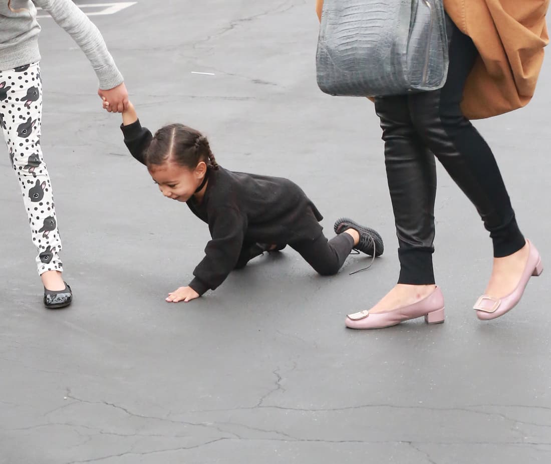 ¡Pobre Nori, saludó a las hormiguitas!