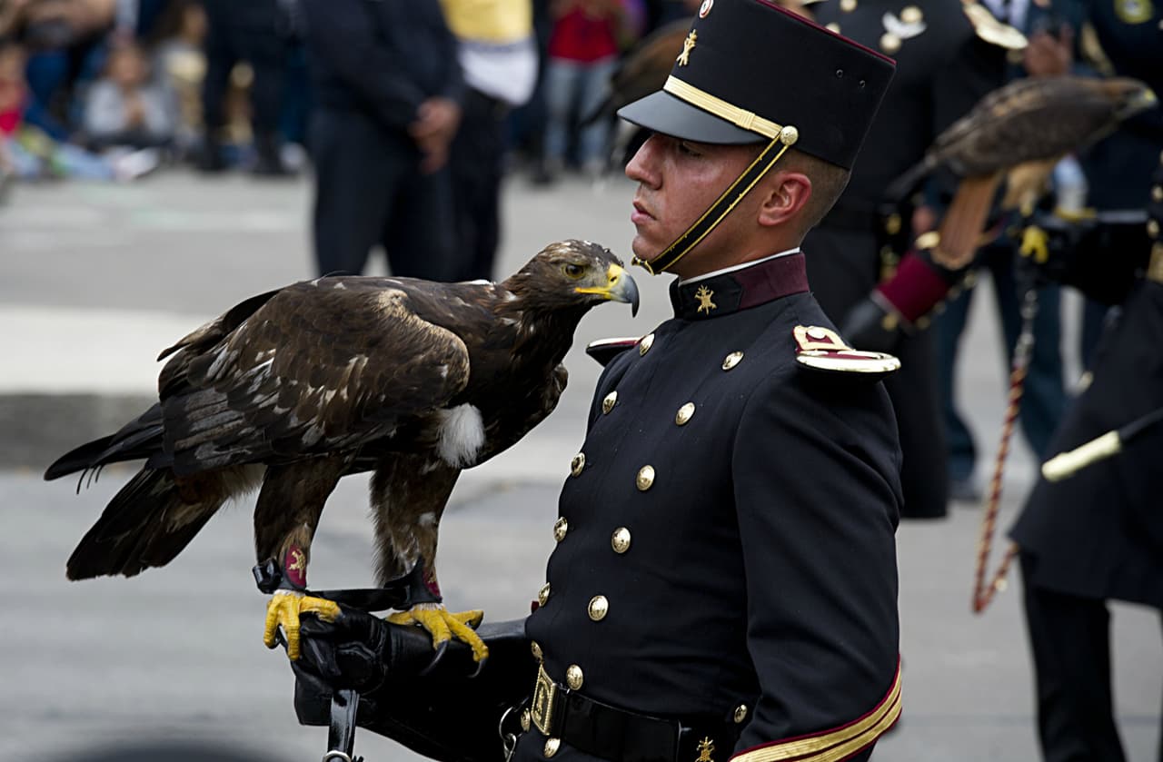 Para celebrar el 205 aniversario del Inicio de la Independencia de México, elementos del Ejercito y la Fuerza Aérea realizaron el tradicional Desfile Militar en la capital del país.
