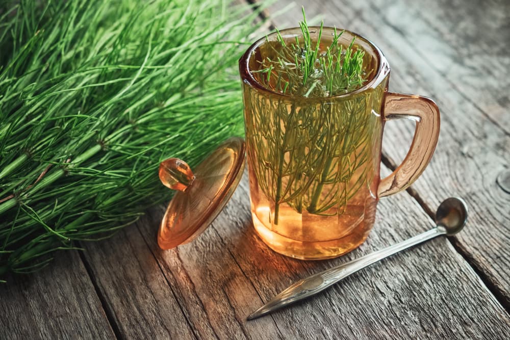 Además, es indicada en el tratamiento de infecciones urinarias, cistitis, problemas de gota y artritis, pues se dice que es antireumática. Como ayuda a asimilar el calcio, es recomendable en ellos y también en casos de osteoporosis.