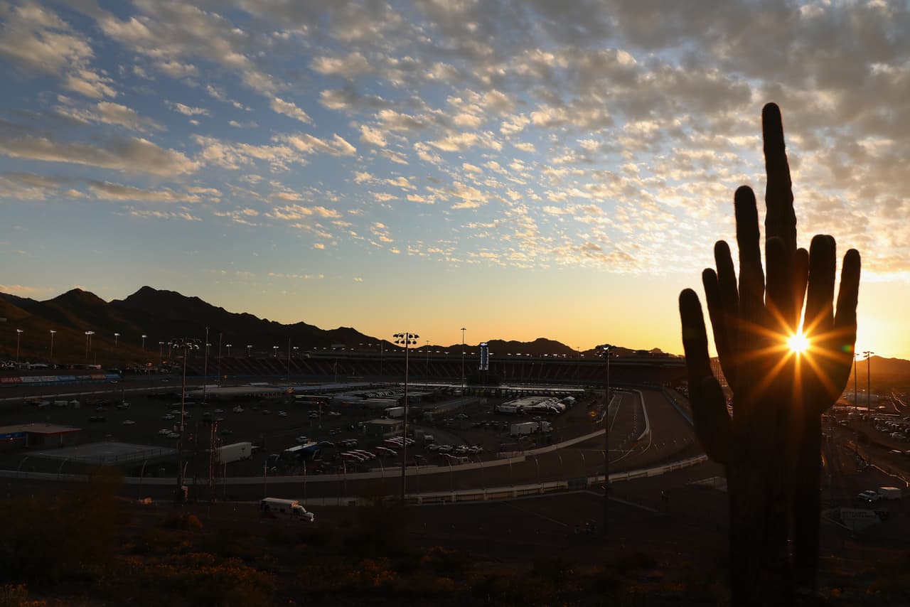 Los saguaros de Arizona son un tesoro invaluable de la tierra, robar o matar un cactus es un delito grave. Es ilegal disparar, desfigurarloso sacarlos de los parques, donde pueden alcanzar más de 60 pies y vivir hasta 200 años.