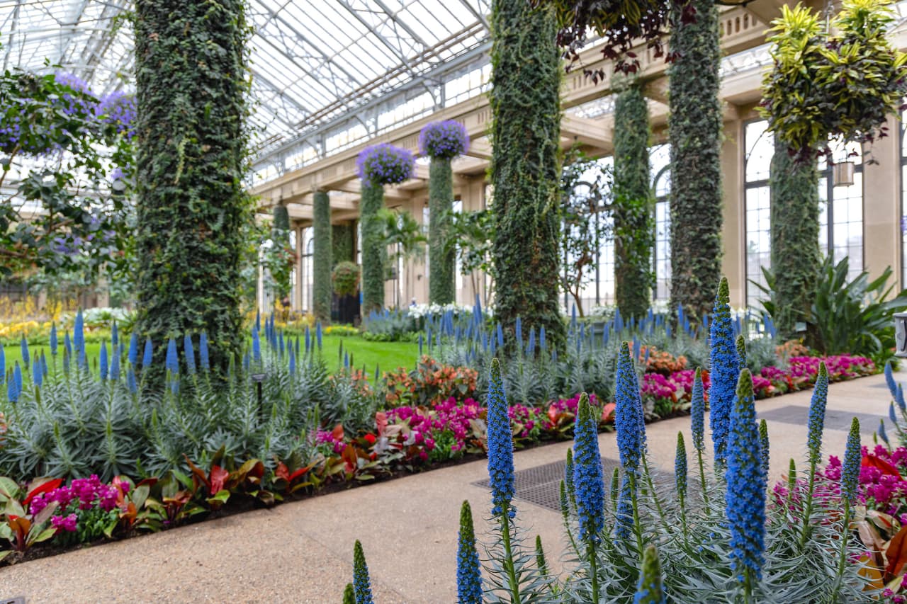 <b><a href="https://longwoodgardens.org/gardens/seasons/spring-blooms">Spring Blooms at Longwood Gardens en Kennett Square (1 de abril al 7 de mayo)</a></b>. Los colores y los aromas de la primavera regresan durante el evento anual Spring Blooms de Longwood Gardens, que ofrece oportunidades para disfrutar de los fragantes campos de tulipanes, glicinias y más.
<br>
<br>
<b><a href="https://goo.gl/maps/s6gA5JGkSHn27jC27">Cómo llegar</a></b>
