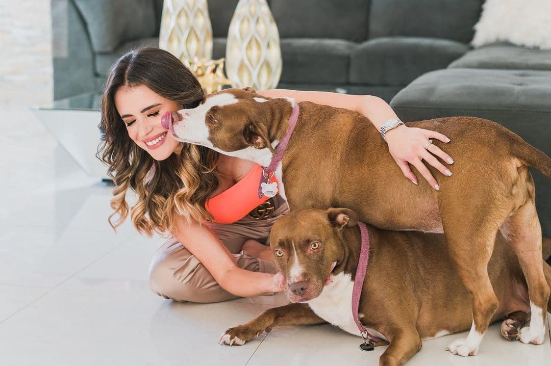 Carolina Sarassa es amante de los animales y además de cuidar de tres perros, tiene tres gatos.