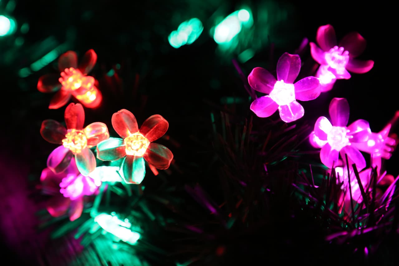 Así se ven de cerca los pequeños focos del alumbrado navideño.