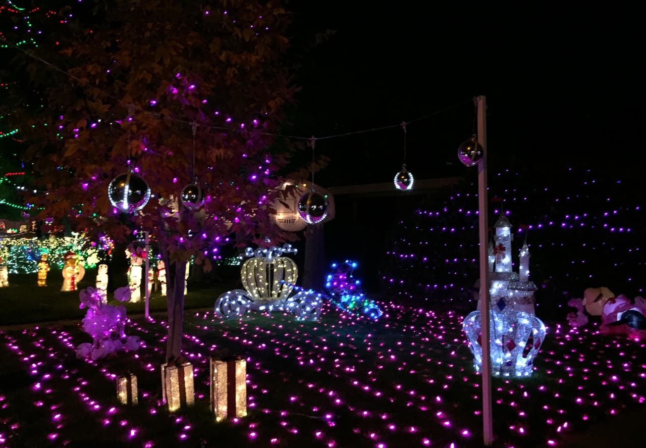 Este evento anual que inició el 10 de diciembre y concluirá el 26 de este mes, no sólo es uno de los más emblemáticos del estado, sino que a la vez se ha convertido en una de las actividades más importantes del Banco Comunitario de Comida de Tucson, a los visitantes se les pide que lleven alimentos en lata para ser destinados a esta organización.