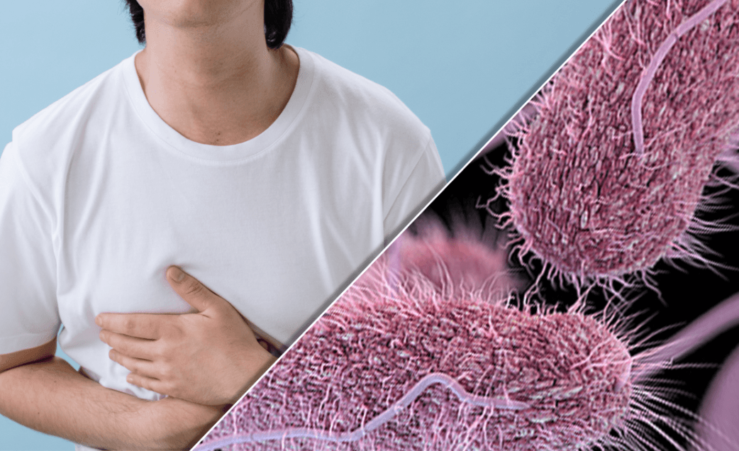 Advierten sobre brote de infección por salmonela proveniente de aves de corral en varios estados