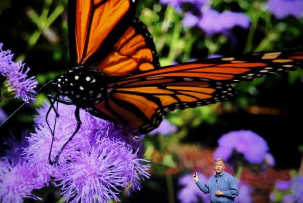 La cámara sigue siendo de 8 megapixeles con flash de doble tono, pero ahora sobresale un poco respecto del dorso del equipo, y ofrece un sistema de autofoco veloz y detección de rostros.