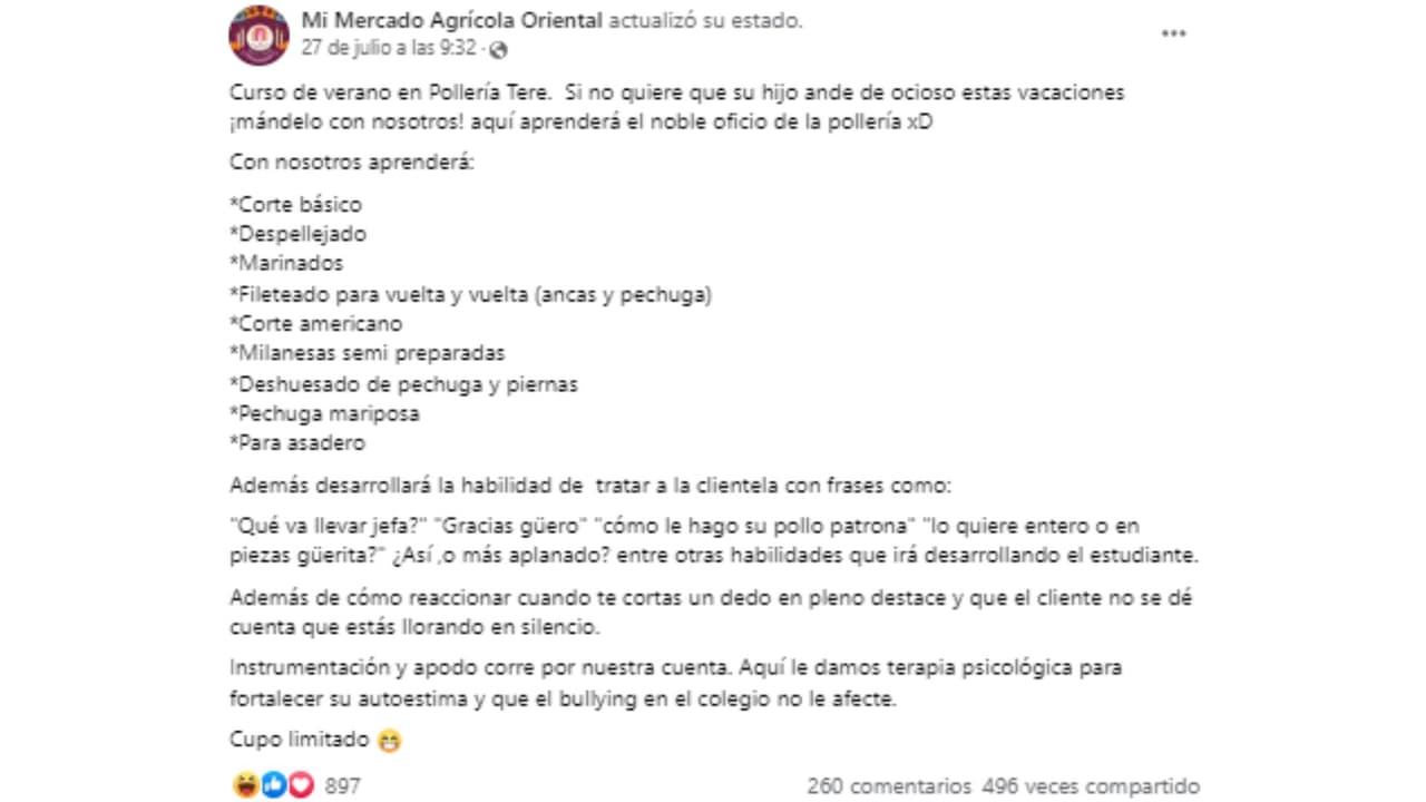 Curso de verano de pollería