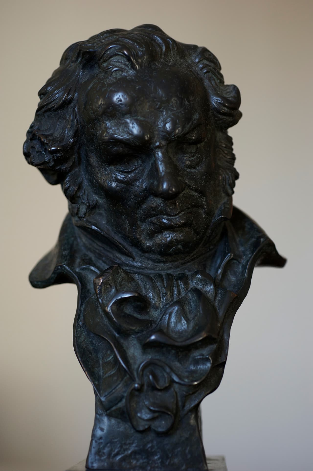 El trofeo, entregado a quienes son reconocidos con este galardón, es un busto del pintor español Francisco de Goya y Lucientes, realizado en bronce y diseñado por el escultor José Luis Fernández, en 1990.
