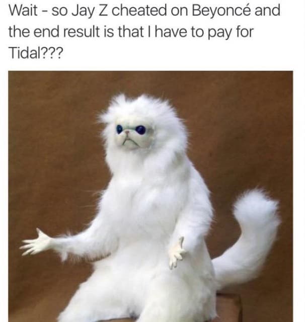 Otros memes más graciosos incluso hablan de Tidal, la plataforma musical de Jay Z.