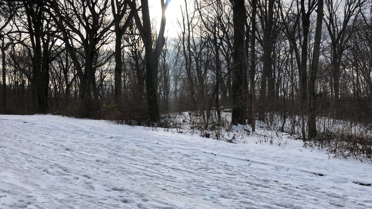 El Wissahickon Trail quedó totalmente blanco. Hace unos días el paisaje era muy diferente. Míralo 
<a href="https://www.univision.com/local/philadelphia-wuvp/filadelfia-tiene-un-secreto-donde-senderos-arboles-arroyos-y-aves-se-unen-en-una-experiencia-prohibidaforbidden-drive">aquí</a>. 
<br>