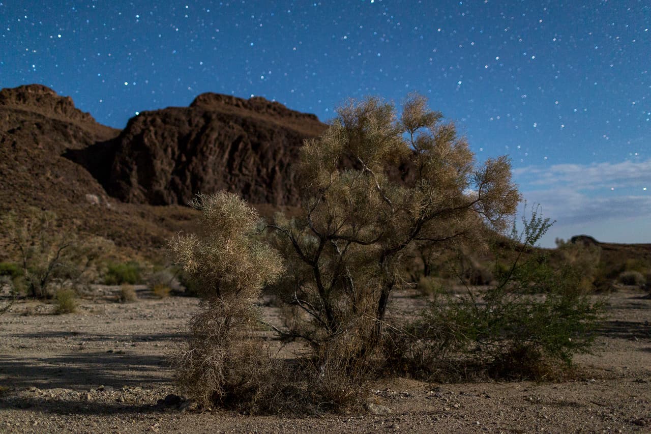 <b>Mojave, </b>Barstow, CA
<br>Dunas de arena, bosques de árboles de Joshua, flores silvestres y más, es lo que encontrarás en este parque de 1.6 millones de acres. Podrás visitar los cañones y montañas, así como ver las más 2,000 especies de plantas. Ubicado entre Los Ángeles y Las Vegas, Mojave es un respiro a la acelerada vida de ciudad.