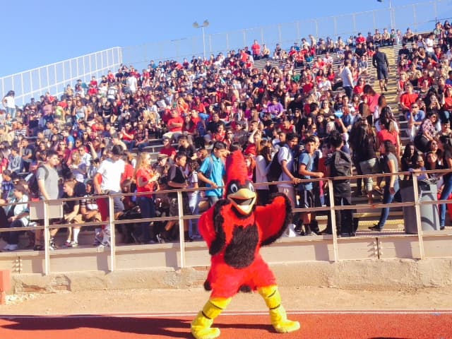 La talentosa y carismática periodista de Univisión, Satcha Pretto, visitó Phoenix para apoyar la campaña multimedia #QuieroAprender de Univisión y el XQ Institute, la cual cuyo propósito es animar a los estudiantes hispanos y a sus familias a exigir educación de excelencia en las escuelas, que prepare a los jóvenes para un futuro de éxito. Durante su visita a Phoenix, Pretto visitó los estudios de Univisión Arizona donde compartió con el equipo de noticias local, incluyendo la presentadora de noticia Heidi Renpenning.