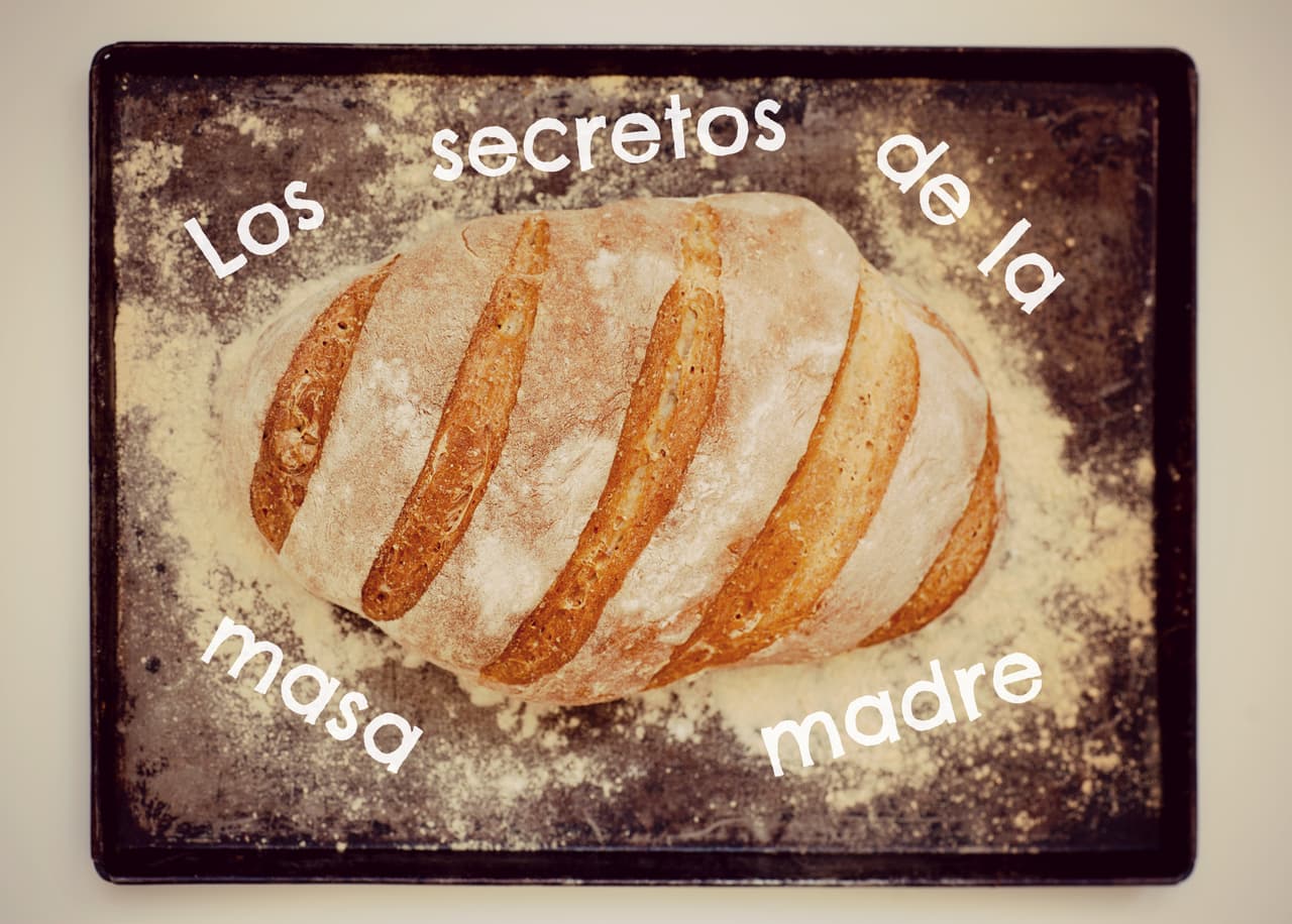 Master of the Grill: ¿qué es y cómo se inicia la masa madre?