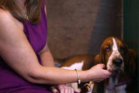 Además aprovecharon para recompensar su esfuerzo con mimos.