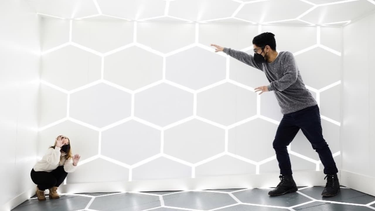 Dado a las restricciones del 
<b><a href="https://www.cdc.gov/coronavirus/2019-ncov/index.html" target="_blank">CDC</a></b> y los protocolos a seguir por la pandemia del 
<b><a href="https://www.univision.com/local/chicago-wgbo/vacuna-covid19-chicago-donde-y-cuando">coronavirus</a></b>, WNDR ha reajustado las diferentes atracciones para garantizar un disfrute seguro.