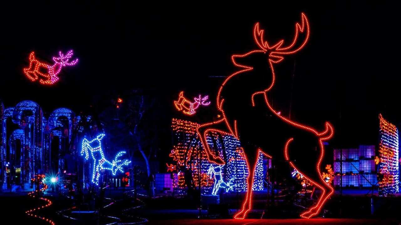 Los niños pueden disfrutar de emocionantes atracciones como carruseles y juegos inflables, mientras los padres observan con alegría sus risas y sonrisas.