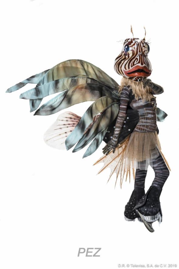 Muy coqueto y desbordando simpatía, apareció Pez.