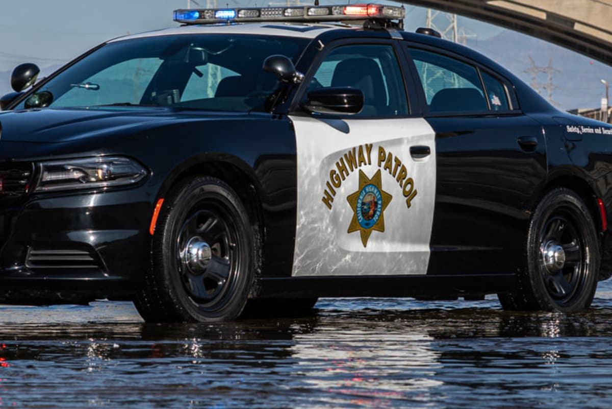 Las autoridades arrestaron al conductor cuando intentó escapar corriendo.
