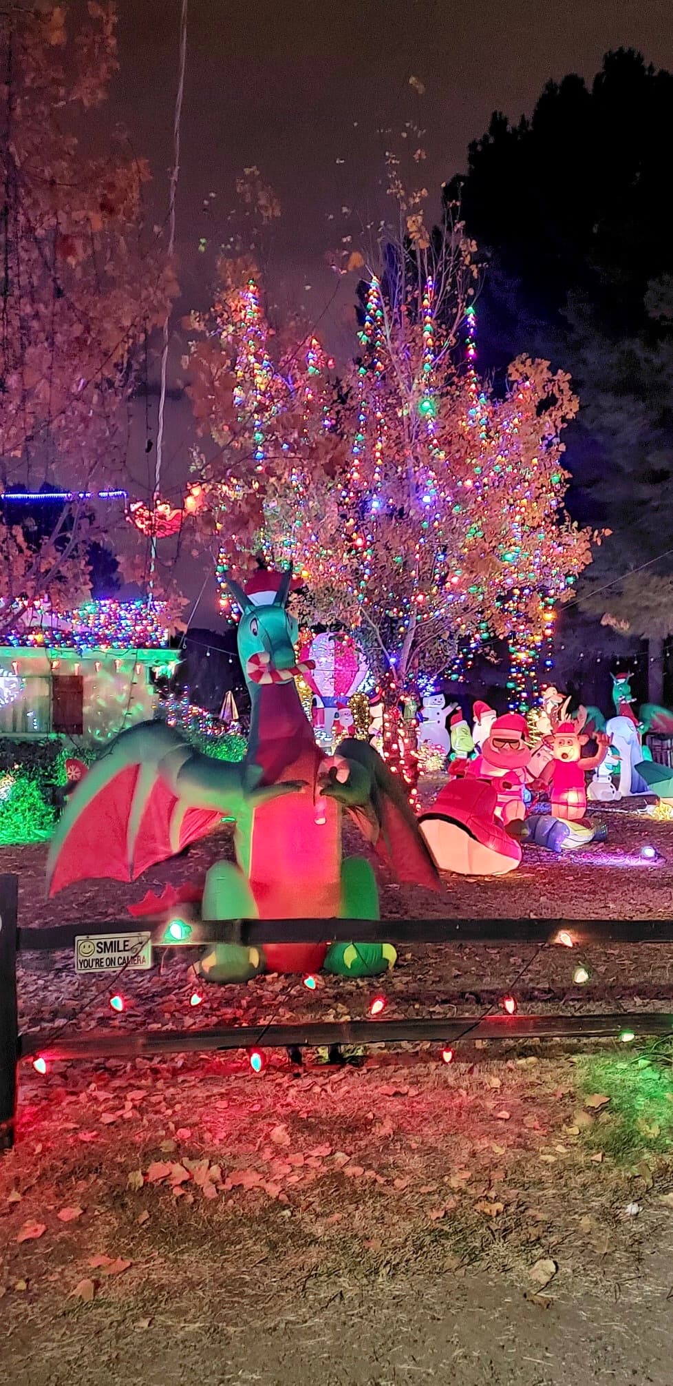 Las luces navideñas estarán encendidas hasta el 10 de enero del 2021. 
<br>