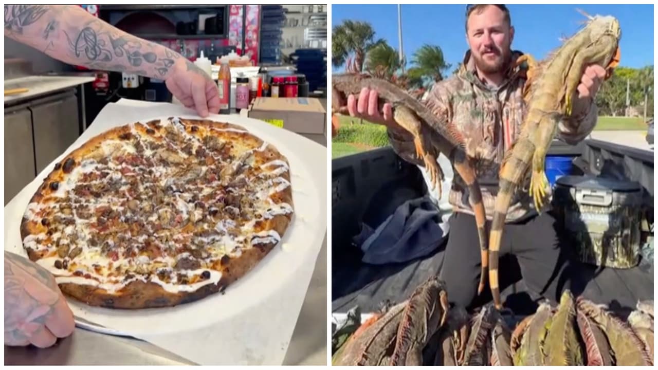 La pizza de iguana que volvió viral a un restaurante de Florida