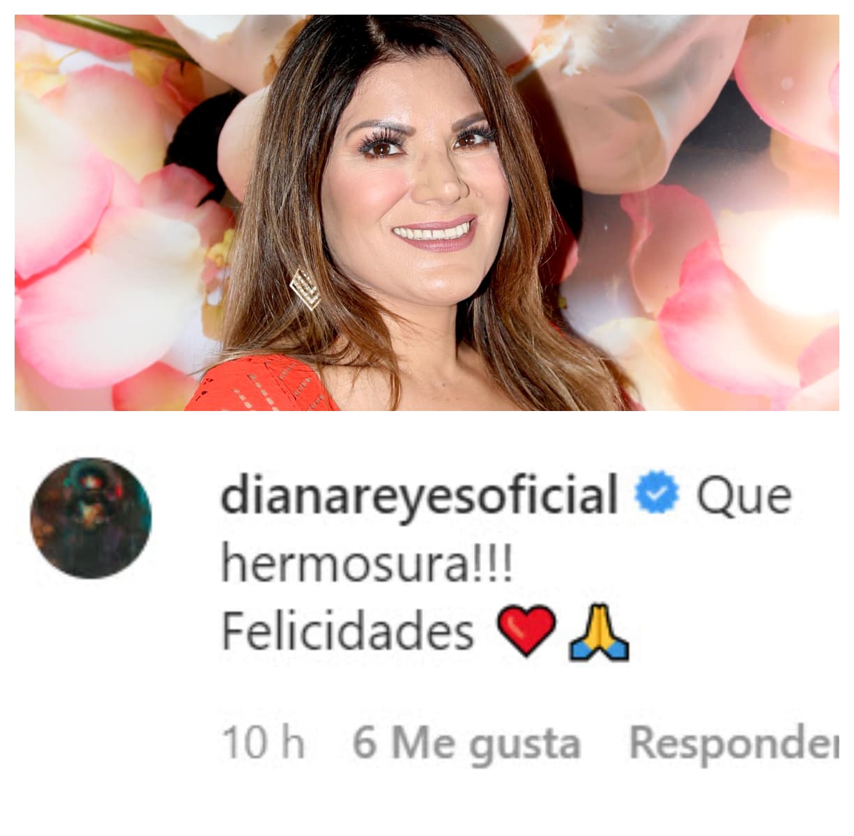 La cantante Diana Reyes destacó la "hermosura" del rostro del nuevo integrante de la familia. 
<br>