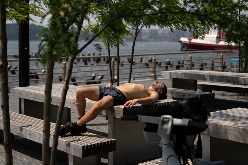 Obvio, siempre hay quienes aprovechan la potencia del sol para intentar broncearse, lo que no siempre es posible en la ciudad de Nueva York.