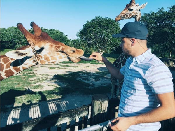 Con Titán, la jirafa macho número 46 nacida en el zoológico de Miami.