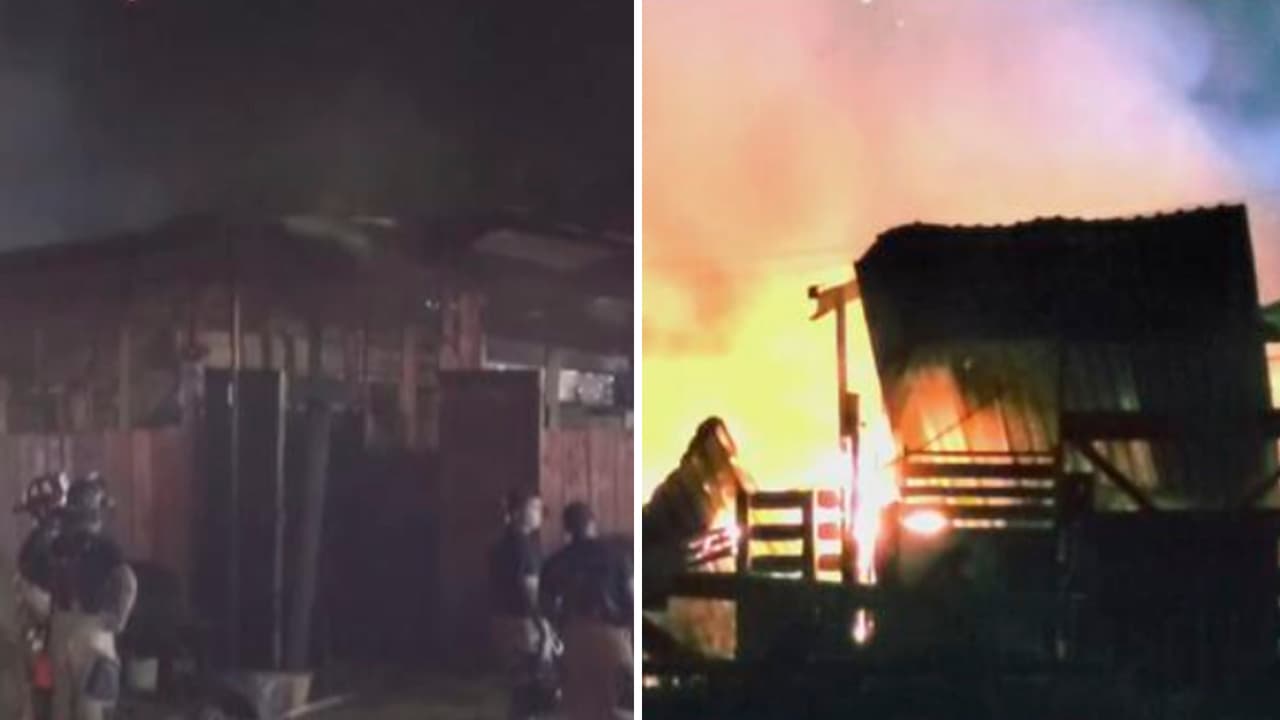 Varios caballos mueren quemados y otros resultan heridos durante el incendio de un granero en Houston