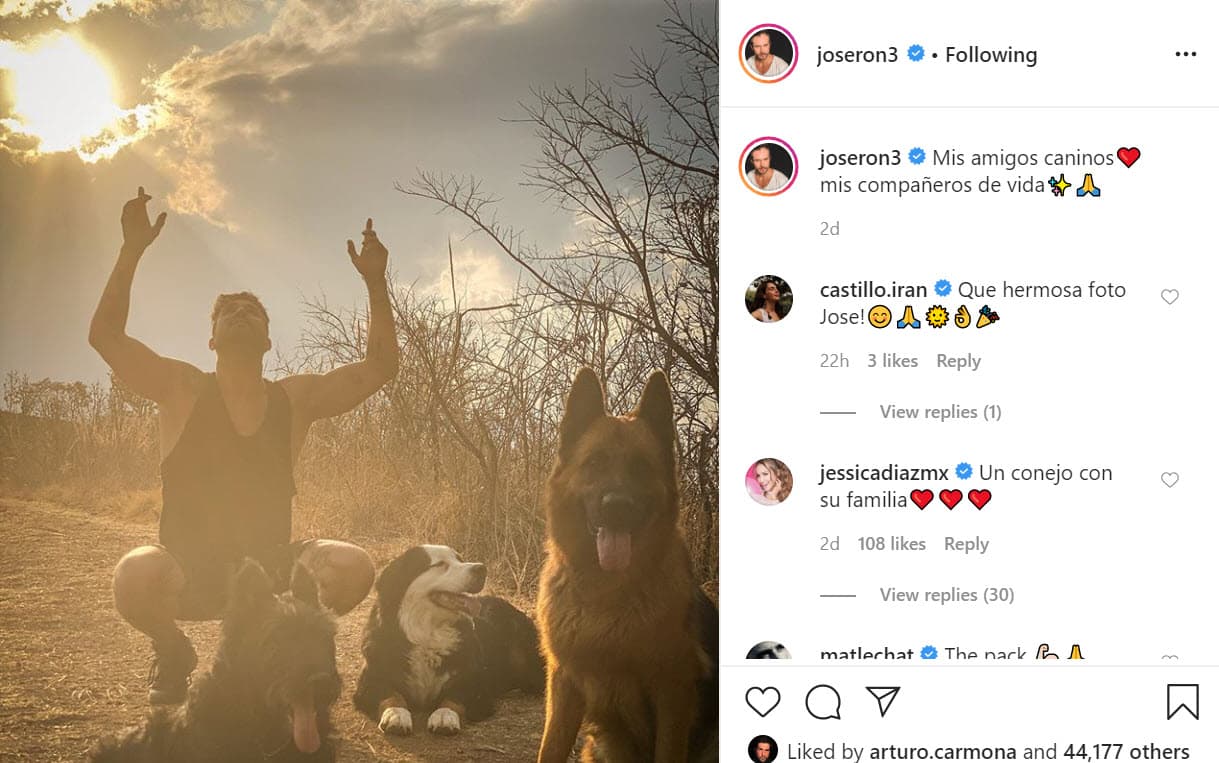 Dos días antes, José Ron publicó 
<b><a href="https://www.instagram.com/p/B_tLXTgJS28/" target="_blank">esta otra foto</a></b> en la que aparece en el mismo lugar y también con sus perros: "Mis amigos caninos, mis compañeros de vida". 
<br>