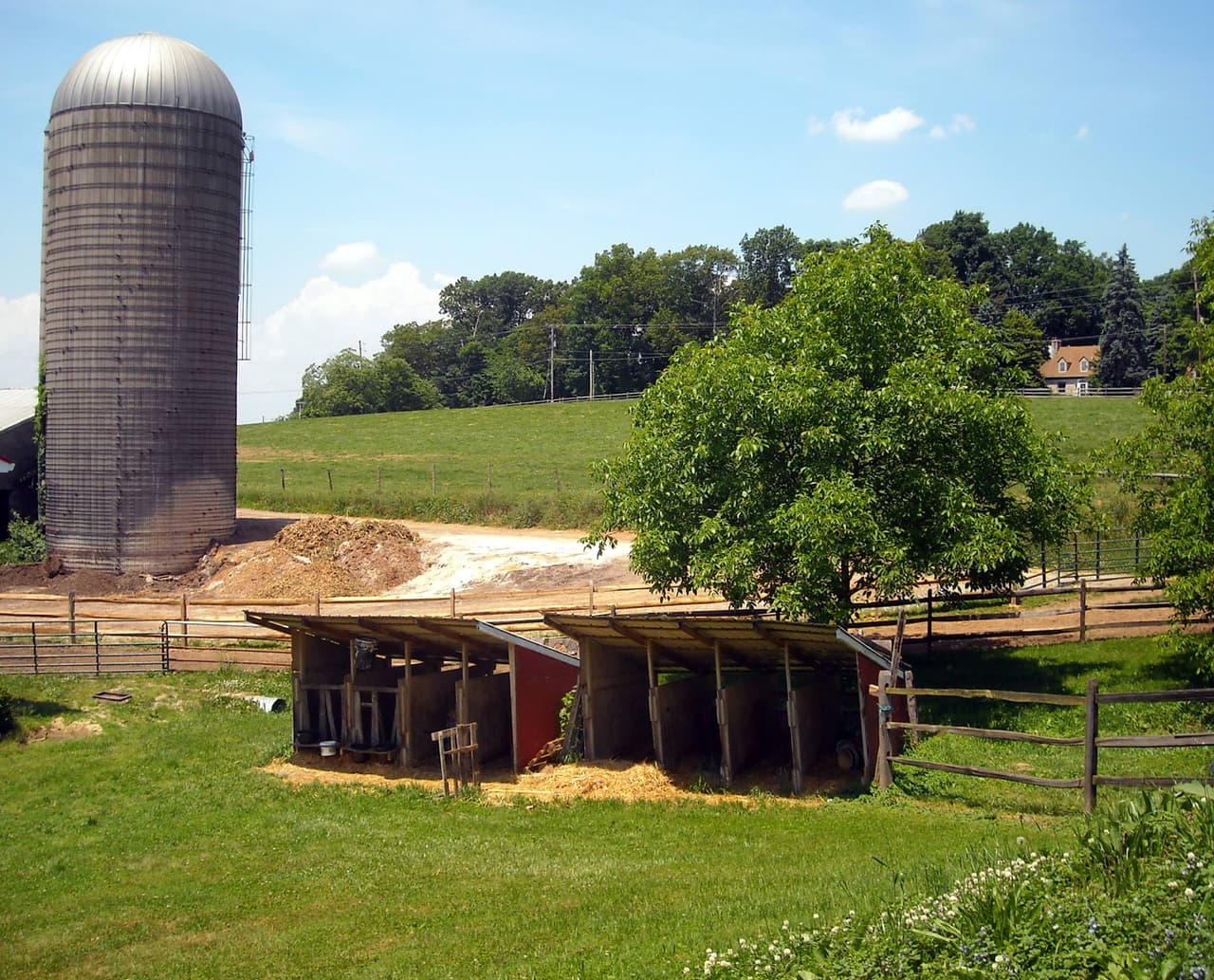 <b><a href="https://www.perrydellfarm.com/">Número 3: Perrydell Farm Dairy (York)</a></b>. Lechería familiar local que sirve a York desde la década de 1960 con helado casero y su famosa leche con chocolate.