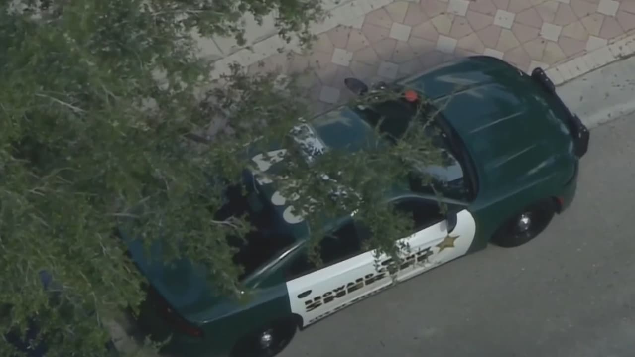 Agentes federales investigan caso de pornografía infantil y allanan una vivienda en Weston 