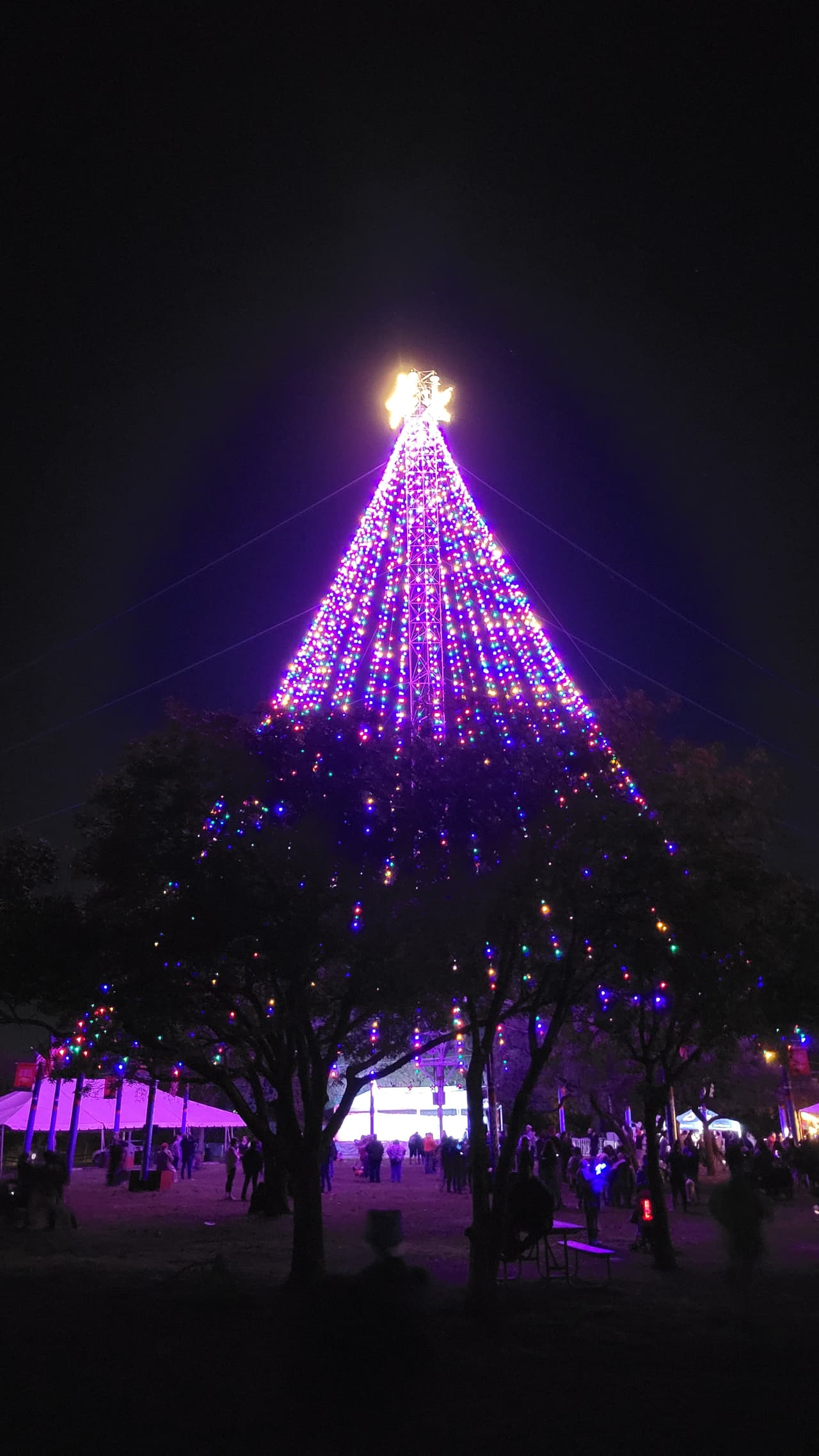 <h3 class="cms-H3-H3">Zilker Holiday Tree</h3>
<br>
<br>
<b>Dónde:</b> Zilker Park
<br>
<b>Cuándo:</b> 1 de diciembre
<br>
<b>Horario: </b>5:00 pm
<br>
<br>Con 3 mil 300 luces, el árbol de Navidad de 155 pies se levantará sobre Zilker Park. Ven a tomarte todas las selfies que quieras. ¡Es gratis!
<br>