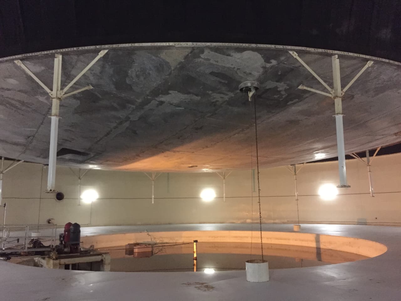 Estos son los pulmones de la biosfera.