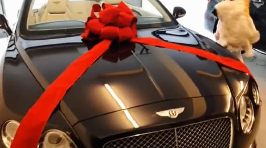 La actriz no pudo evitar mostrar gran emoción al ver su coche nuevo y sus seguidores quedaron impactados por la vida ostentosa que Thalía lleva, pues esta no es la primera vez que deja ver en redes sociales los lujos con los que vive.