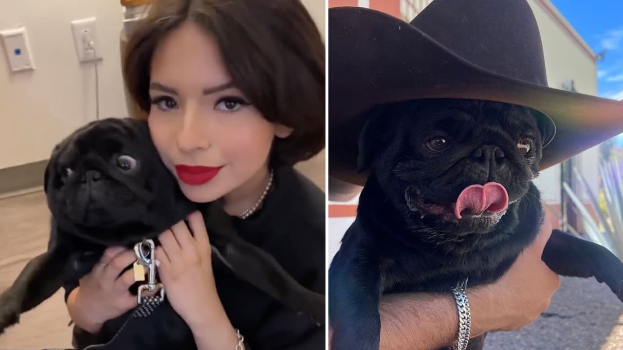 El perro de Pepe Aguilar es una celebridad: tiene su camerino con Ángela para Premios Juventud