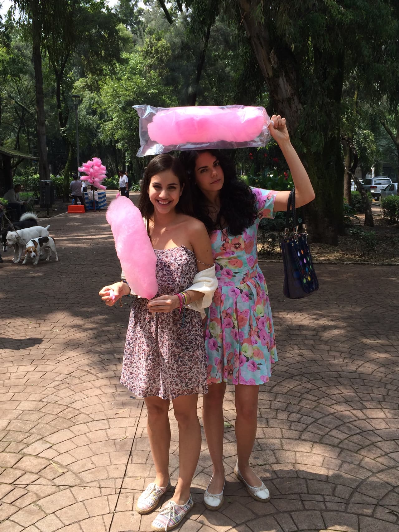 De inmediato se metieron en varios enredos.