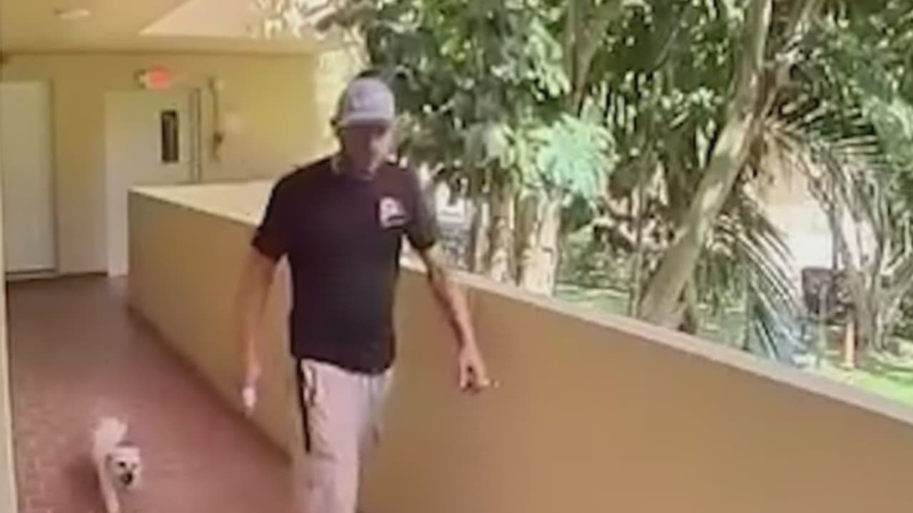 “Fue cruel”: se pronuncia dueño de compañía cuyo empleado golpeó a un perro