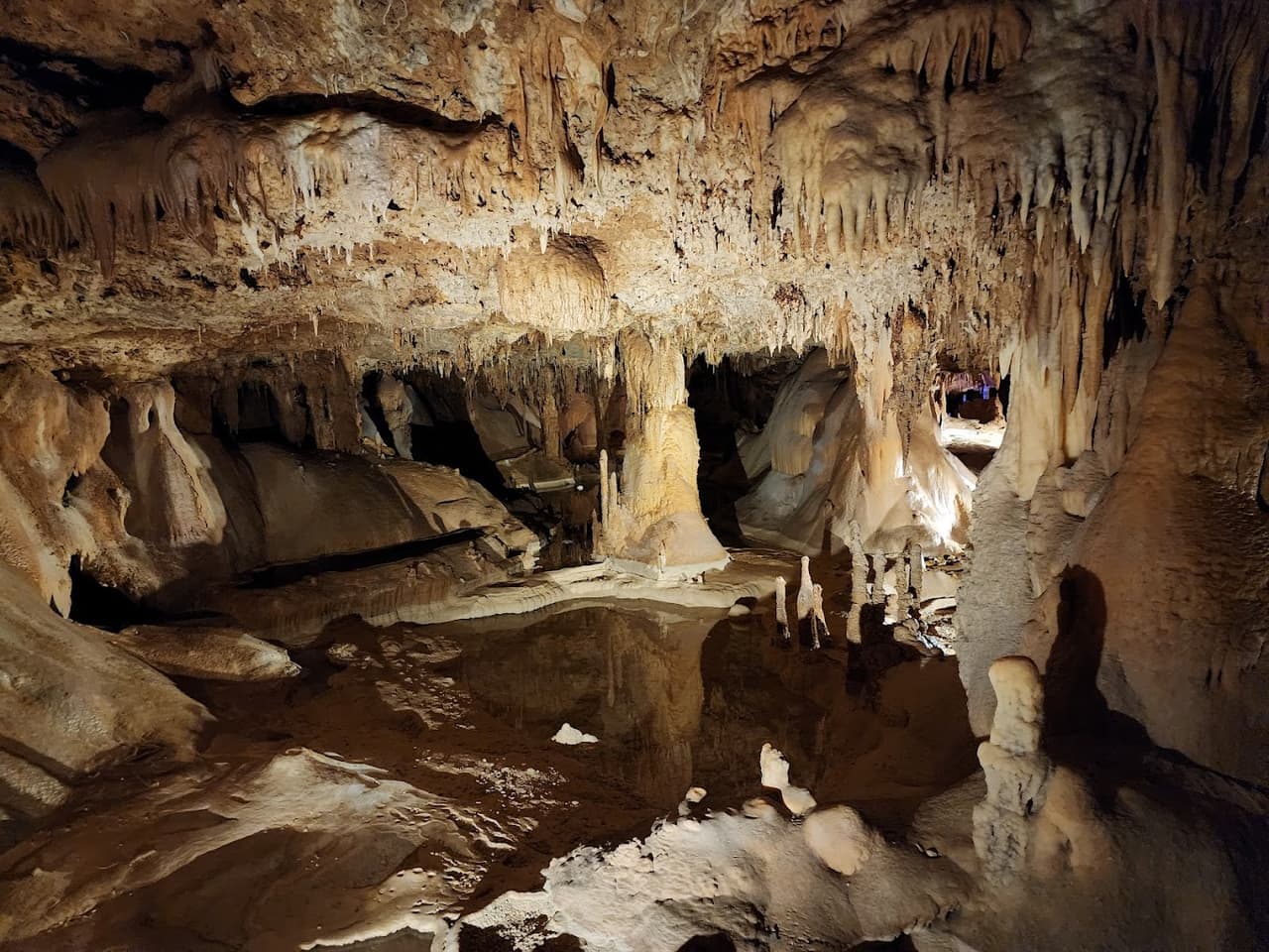 <h2 class="cms-H2-H2">La Caverna del Espacio Interior (Inner Space Cavern)</h2>
<br>
<br>Escondida por más de 10 mil años, la Caverna del Espacio Interior es una de las cavernas mejor preservadas en Texas. Tiene formaciones rocosas increíbles, grandes salones y una exhibición de huesos de animales prehistóricos.
<br>
<br>Dirección: 4200 S I-35 Frontage Road, Georgetown, TX 78626.
<br>