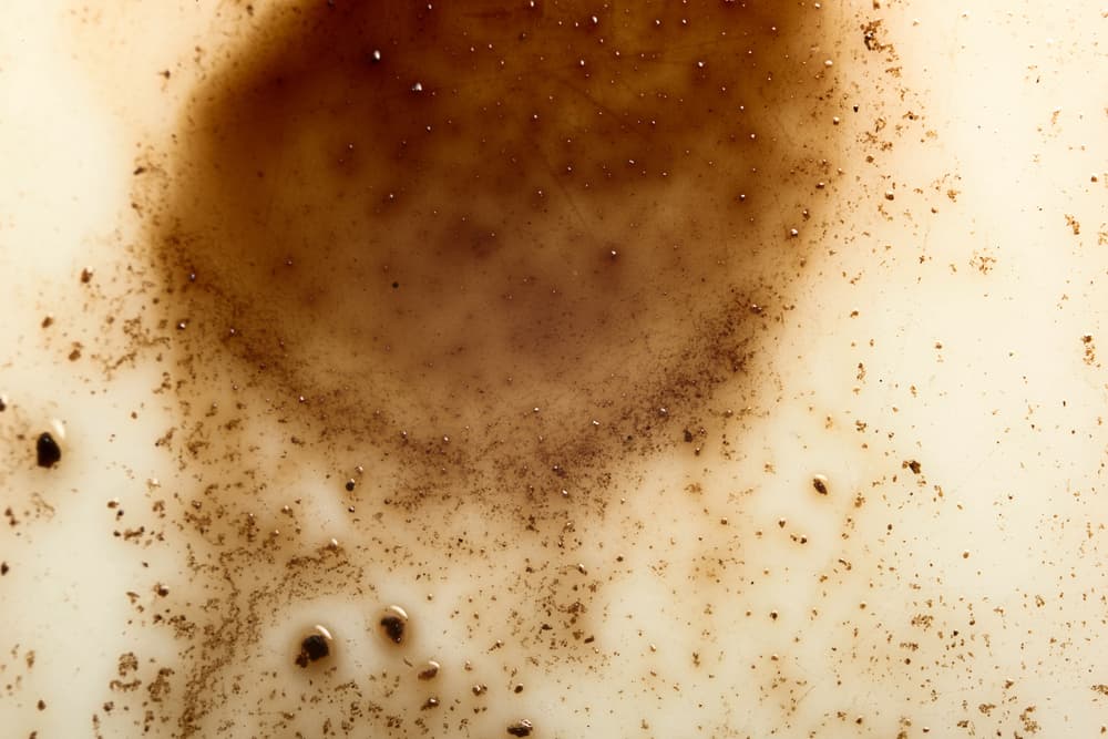 A veces en la taza se observan las figuras del color en los restos del café, en otras se forman en los espacios vacíos y blancos que deja la borra del café, así que es importante recalcar que puedes buscar qué cosas se han formado en ambos.