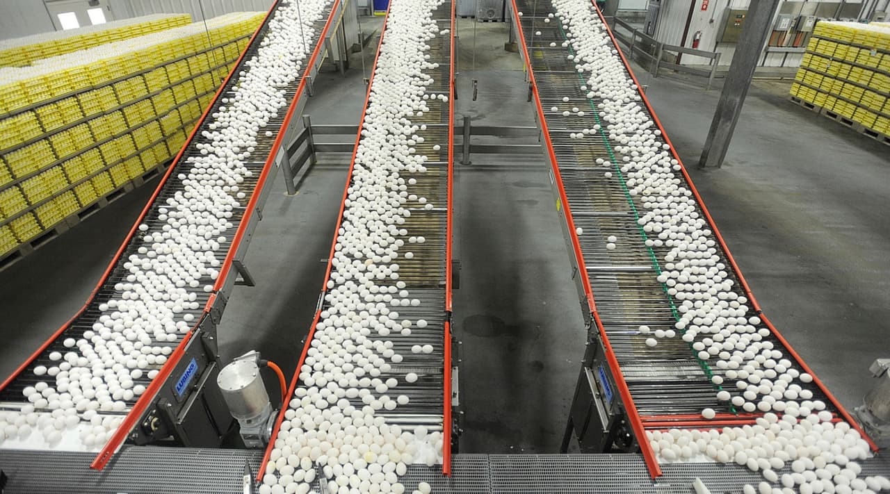 Califican para esta ayuda todos aquellos que trabajen en viveros, campos, empaques y/o lecherías.