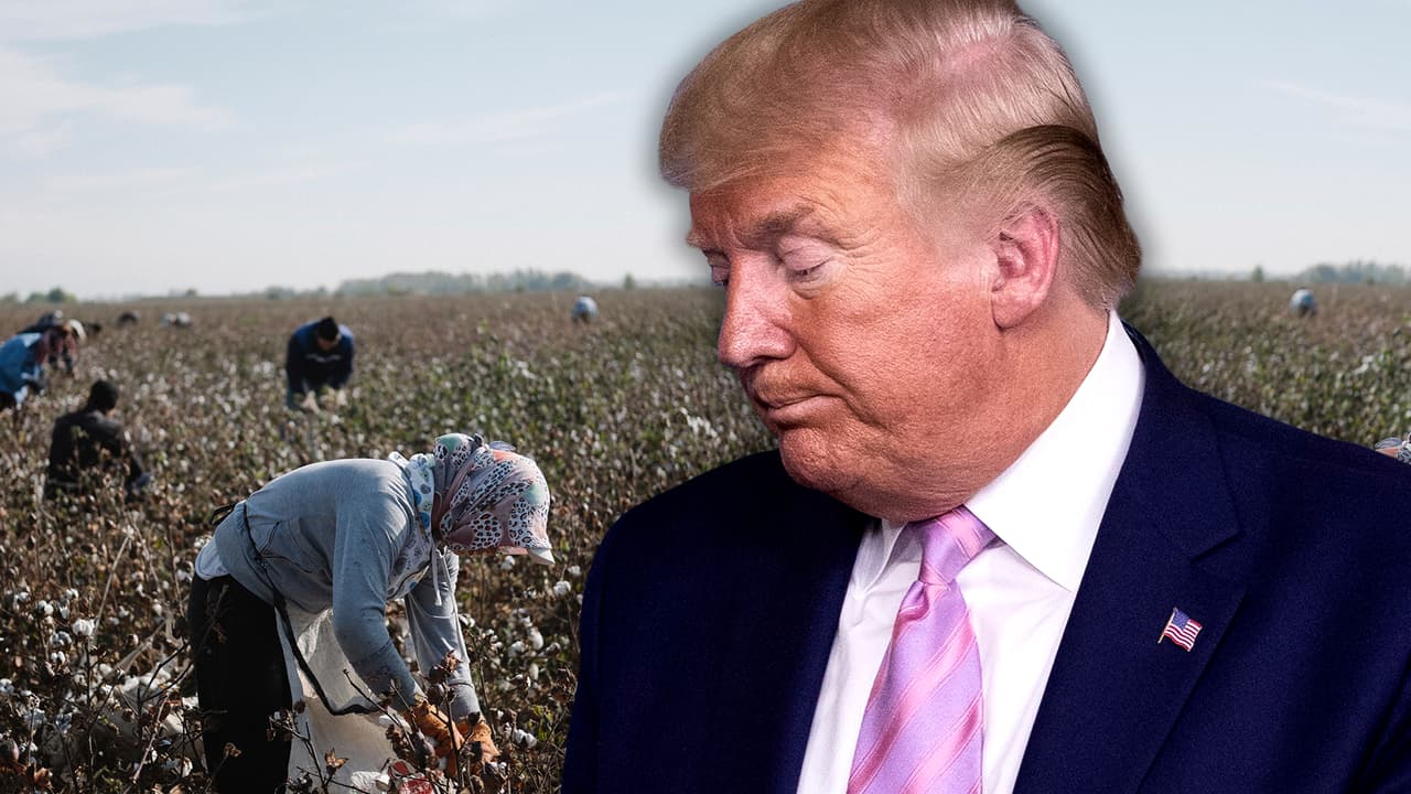 "Debo ser honesto, ellos llegaron ilegalmente": se desmorona el rescate económico para inmigrantes indocumentados de California