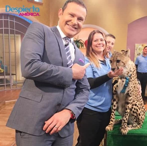 Alan pasó a visitar al guepardo.