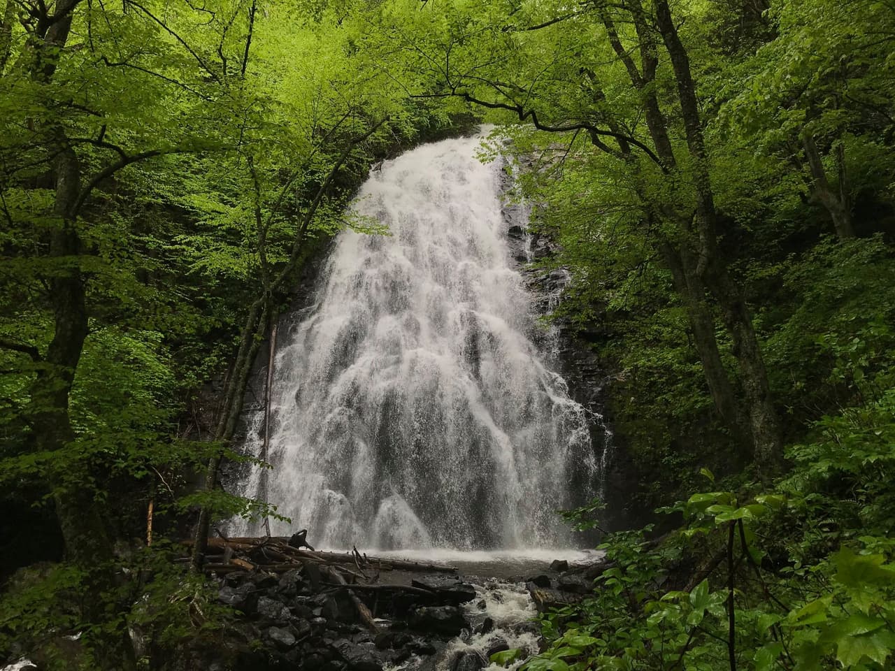 Desde el comienzo del sendero en el estacionamiento detrás de la entrada del campamento, el sendero desciende 0.9 millas hasta las cataratas a través de un bosque mixto de robles y nogales.